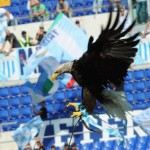 SS Lazio v US Citta di Palermo  - Serie A