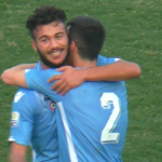 Volpi
