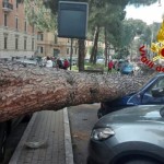 albero caduto corso trieste-2