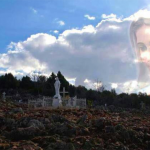 fgjhgj