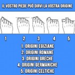 piedi