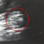 Gran in scan_04.jpg