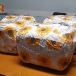 montemario sequestro 75kg 2