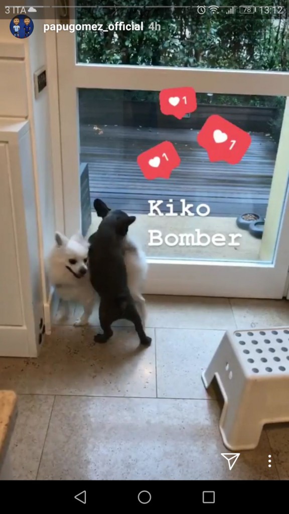 storia-cane-papu-gomez