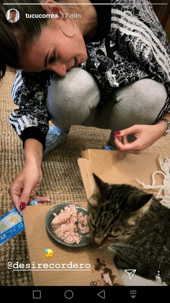 Correa basito osserva la ragazza che dà da mangiare al gatto.