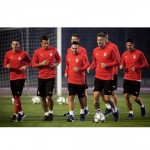 Milinkovic si congratula con i compagni di Nazionale su Instagram