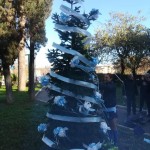 albero Lazio