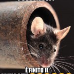 50913101_287506155267516_564641302952542208_n