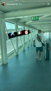Torreira