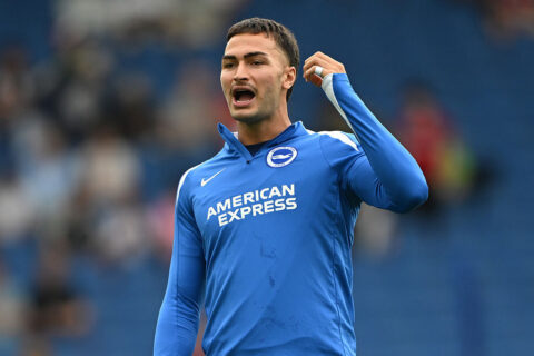 Brighton &amp; Hove Albion v Fulham - Premier League